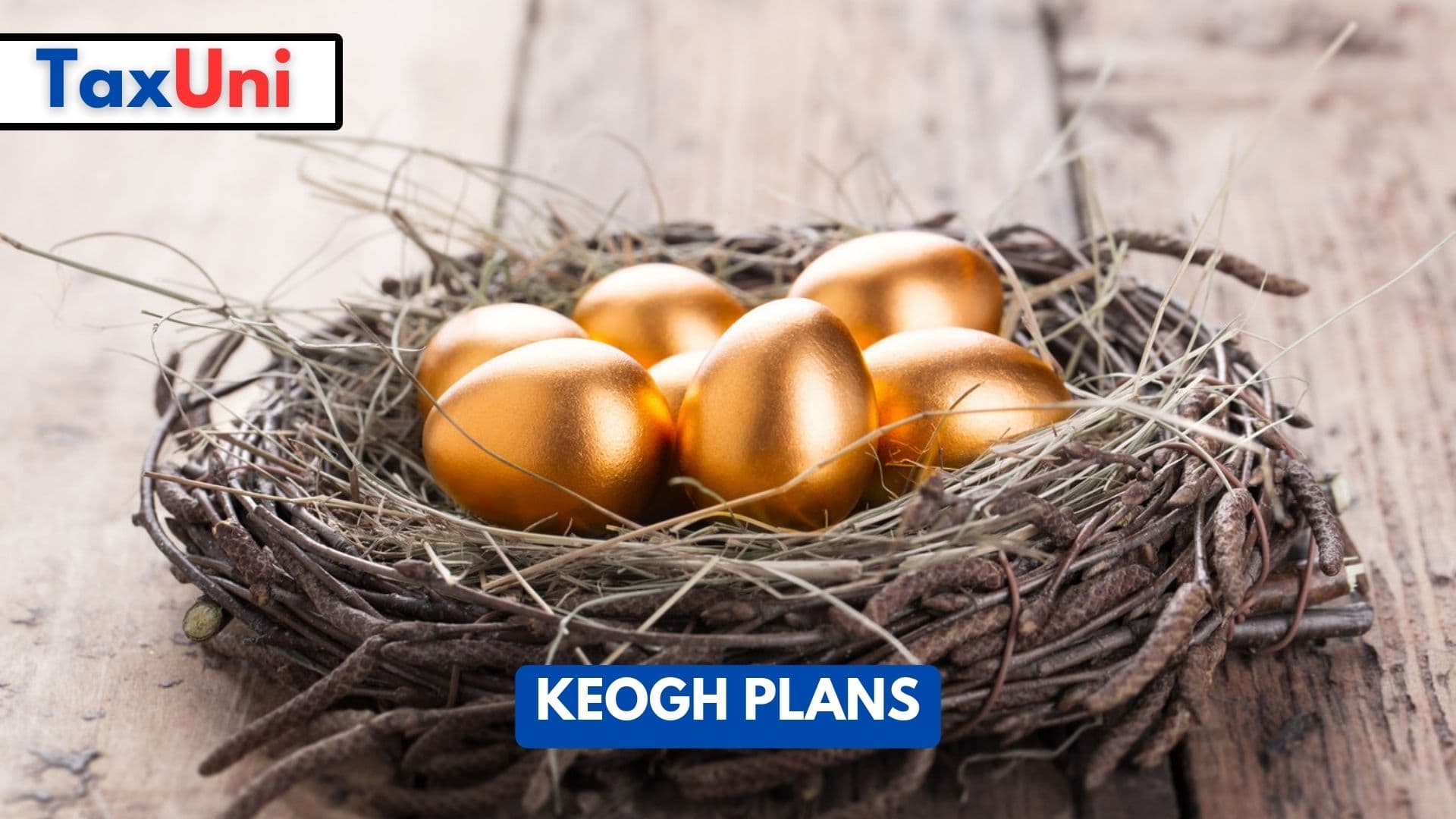 Keogh Plans