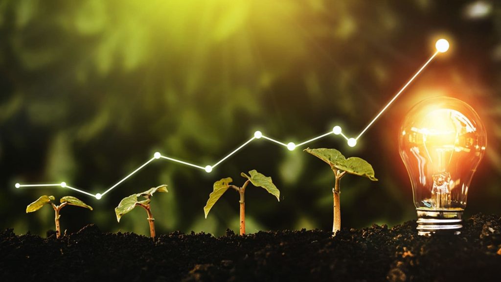 ESG-Focused Funds Update
