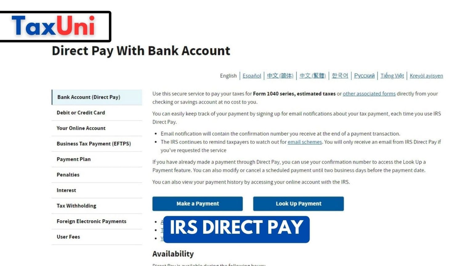 Irs Direct Pay