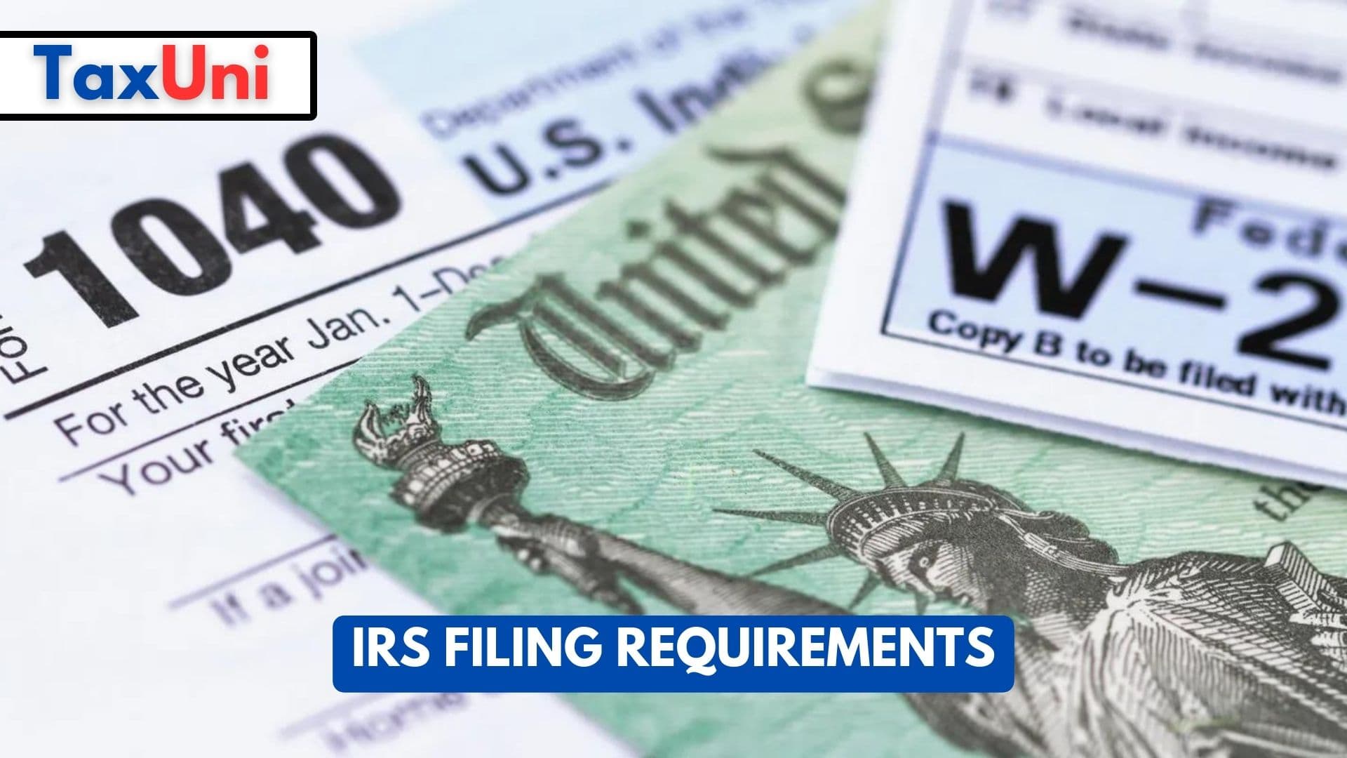 IRS Filing Requirements 2024