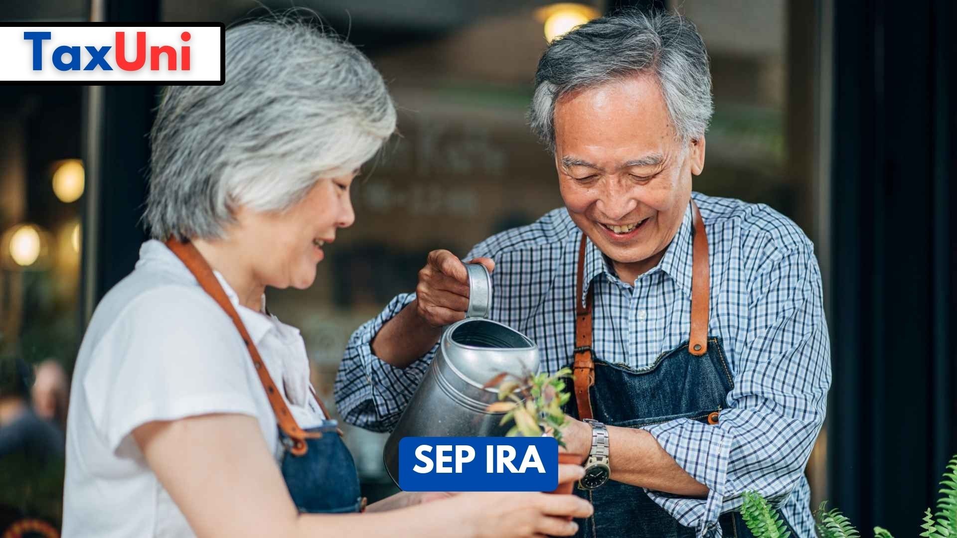 SEP IRA