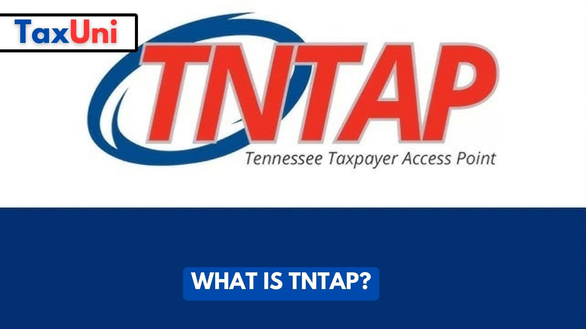 What is TNTAP