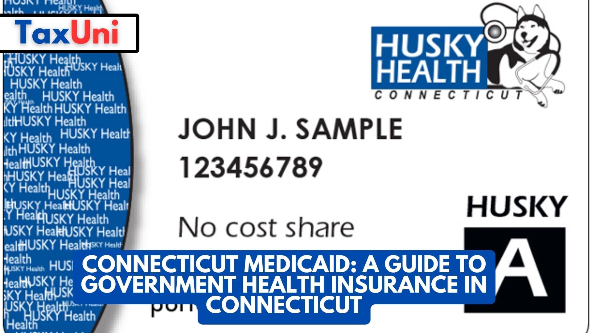 Connecticut Medicaid A Guide to Government Health Insurance in Connecticut