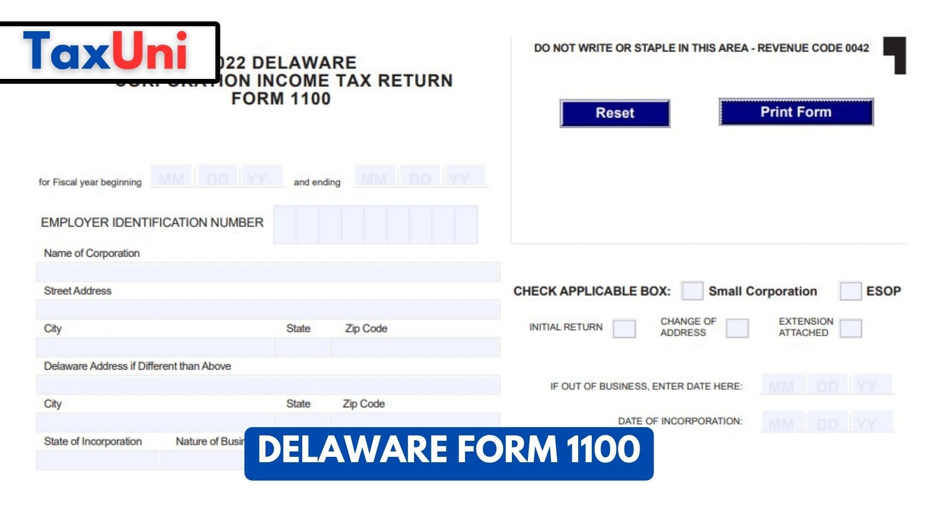 Delaware Form 1100