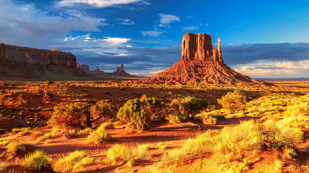 Arizona Joint Tax Application JT1 2024 2025