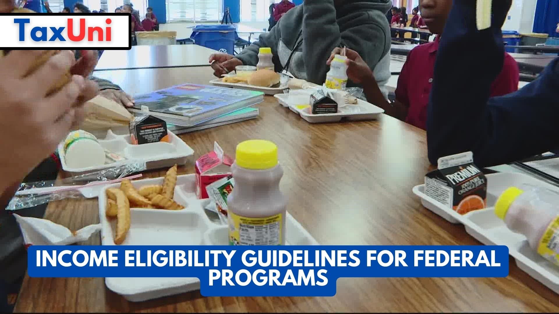 Eligibility Guidelines For Federal Programs 2024 2025