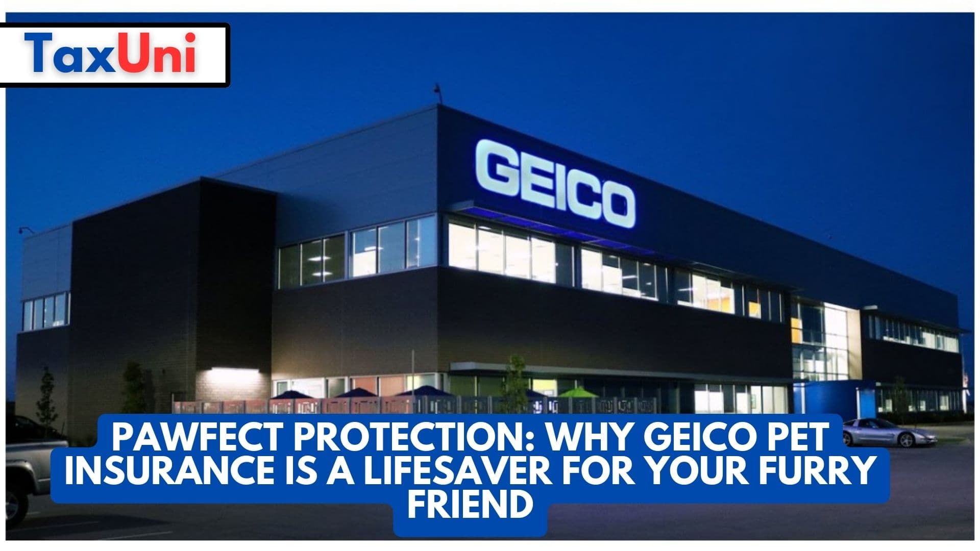Pawfect Protection Why GEICO Pet Insurance is a Lifesaver for Your Furry Friend