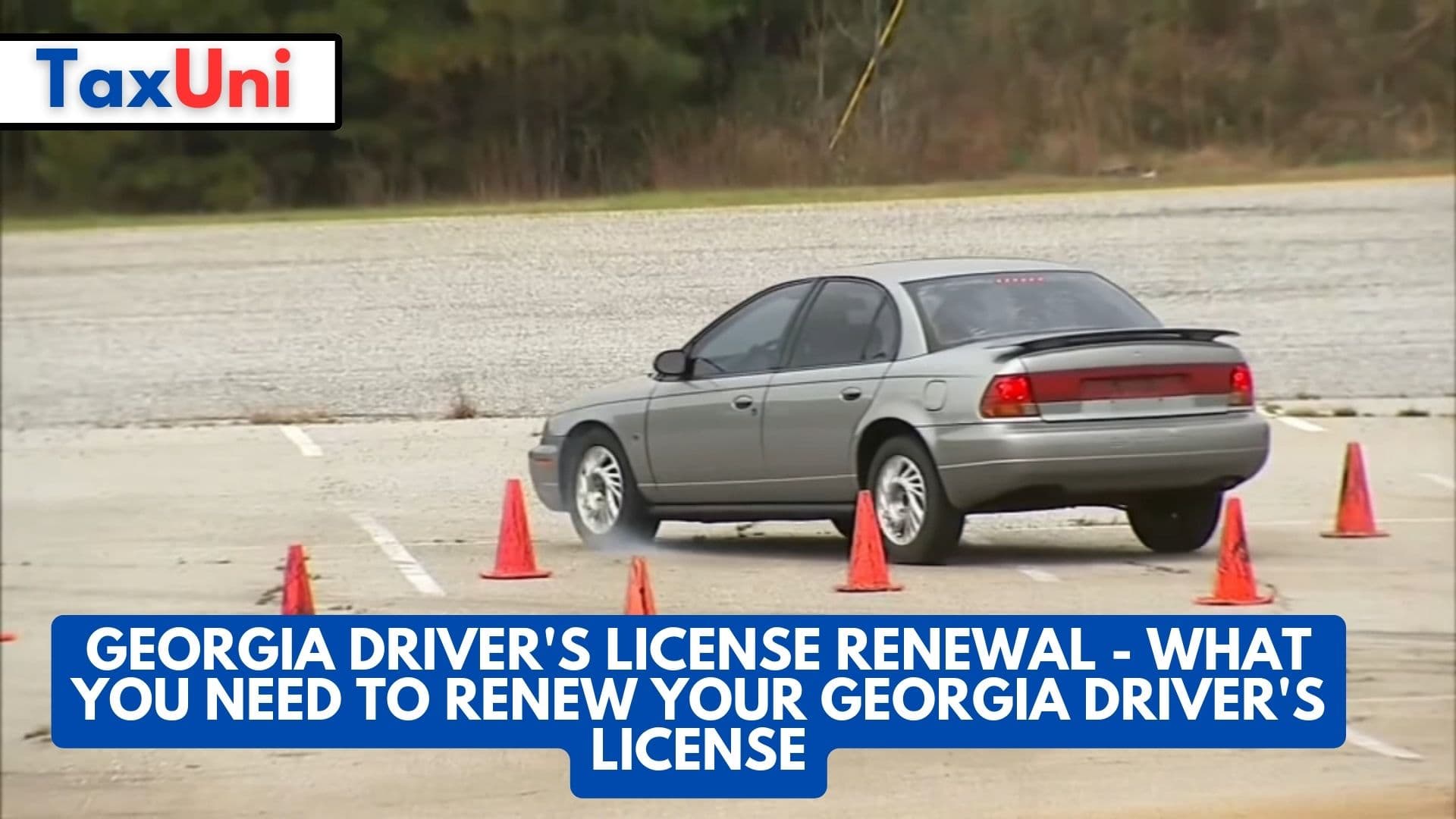 Georgia Drivers License Renewal What You Need To Renew Your Georgia