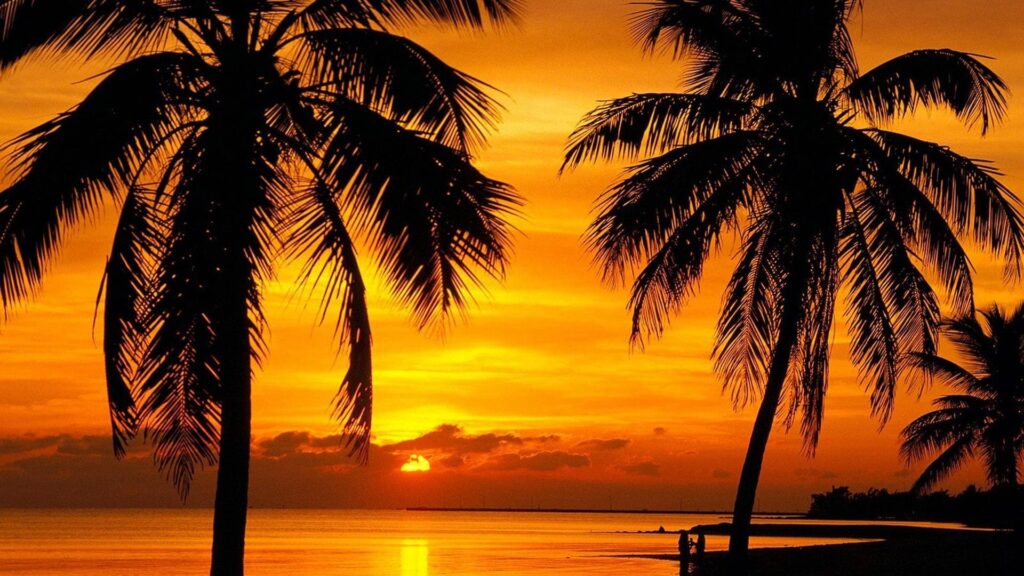 Florida Sales and Use Tax Registration
