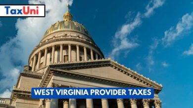West Virginia Provider Taxes