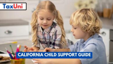 California Child Support Guide