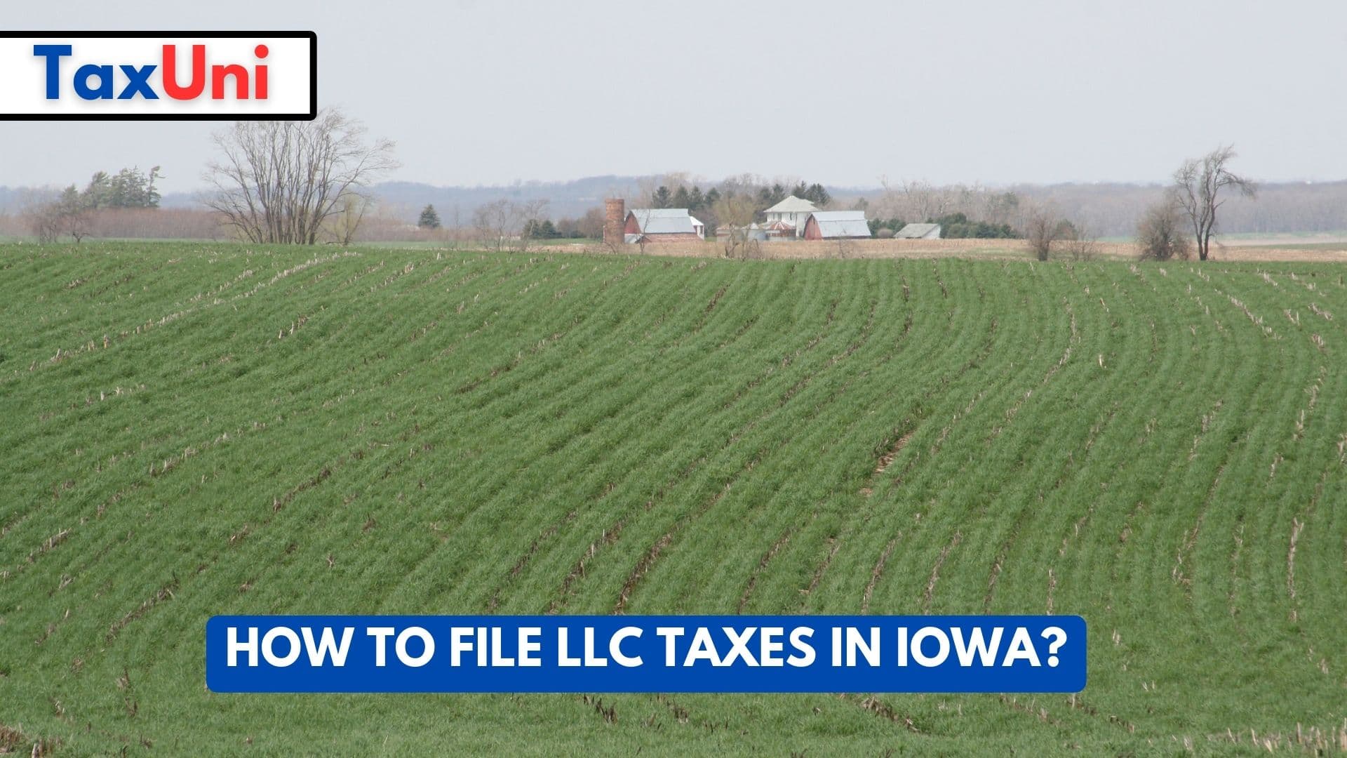 How to File LLC Taxes in Iowa