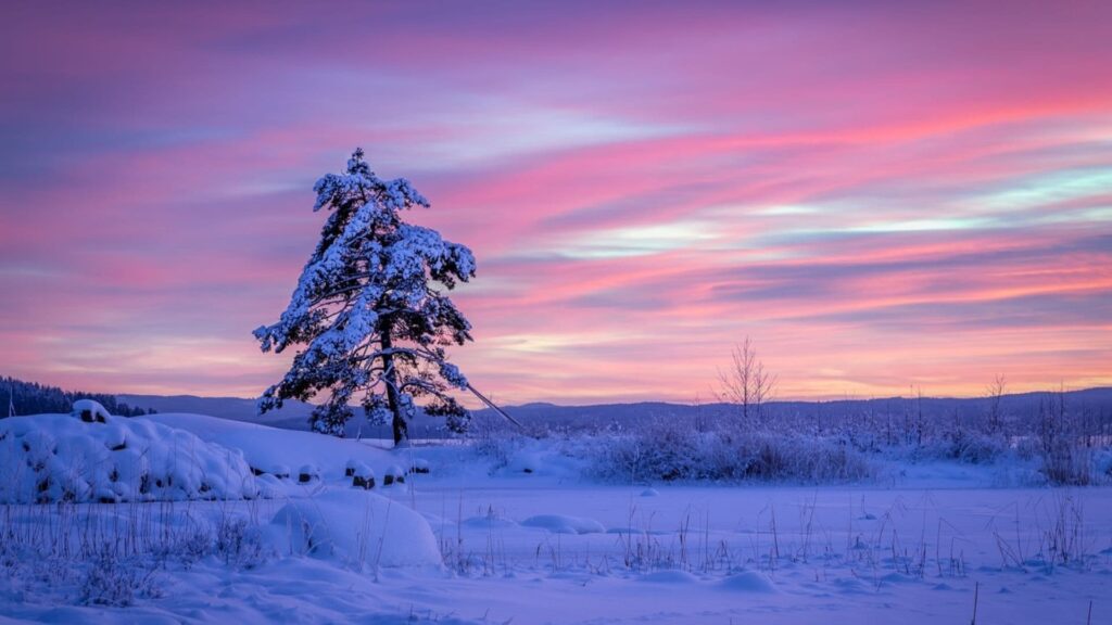 Other Vermont Tax Deductions and Credits