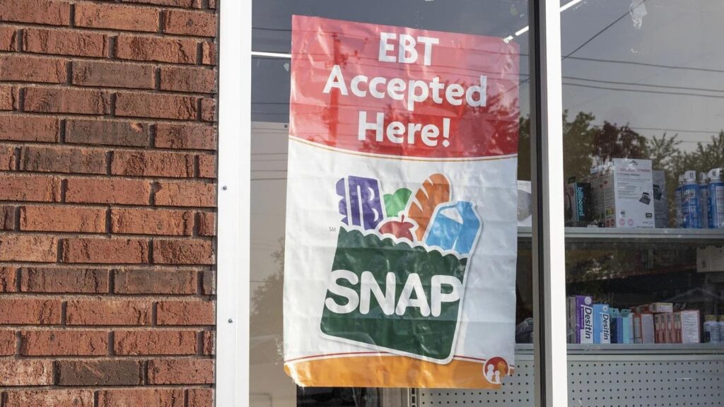 Delaware SNAP Application