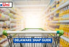 Delaware SNAP Guide