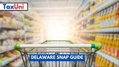 Delaware SNAP Guide