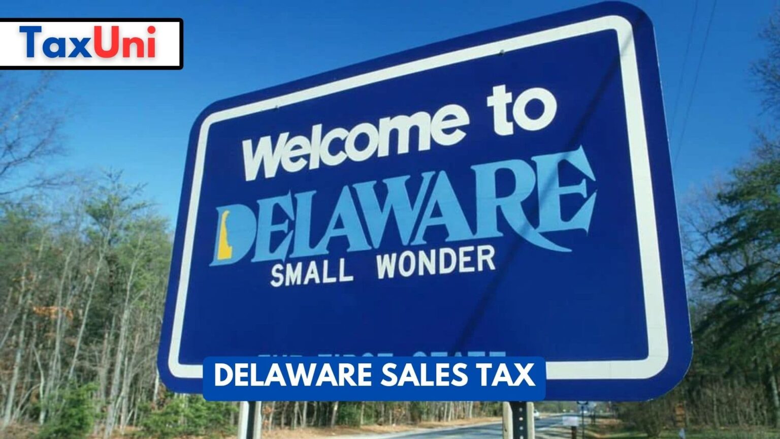 Delaware Sales Tax 2023 2024