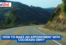 How to Make an Appointment with Colorado DMV