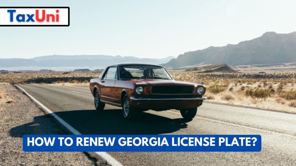 Registration Ga Auto How to Renew Georgia License Plate?