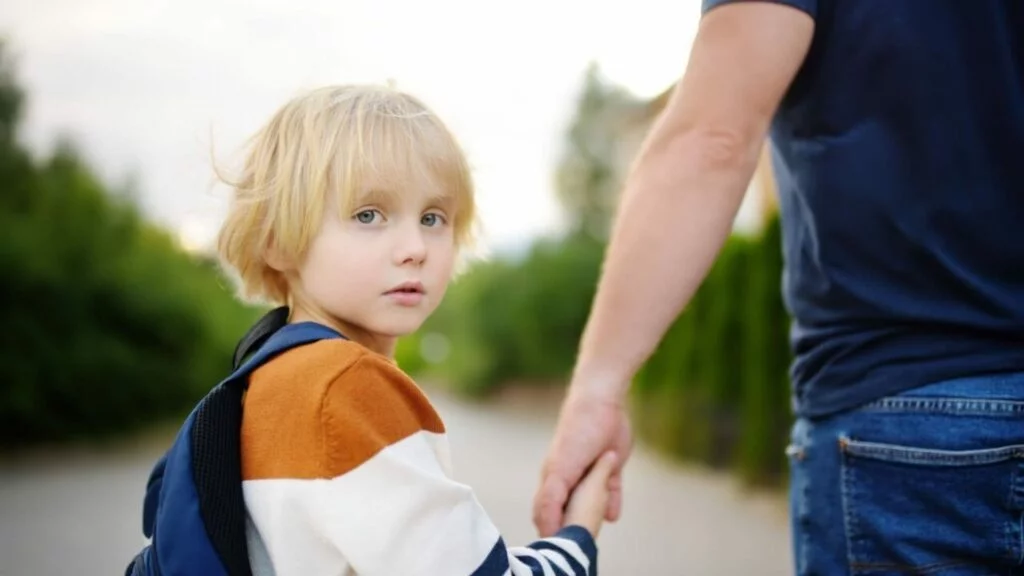 Illinois Child Support Application