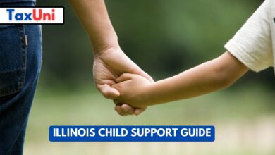 Illinois Child Support Guide