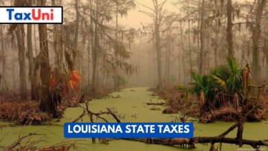 Louisiana State Taxes