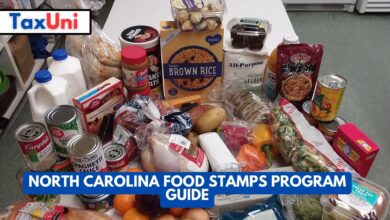 North Carolina Food Stamps Program Guide