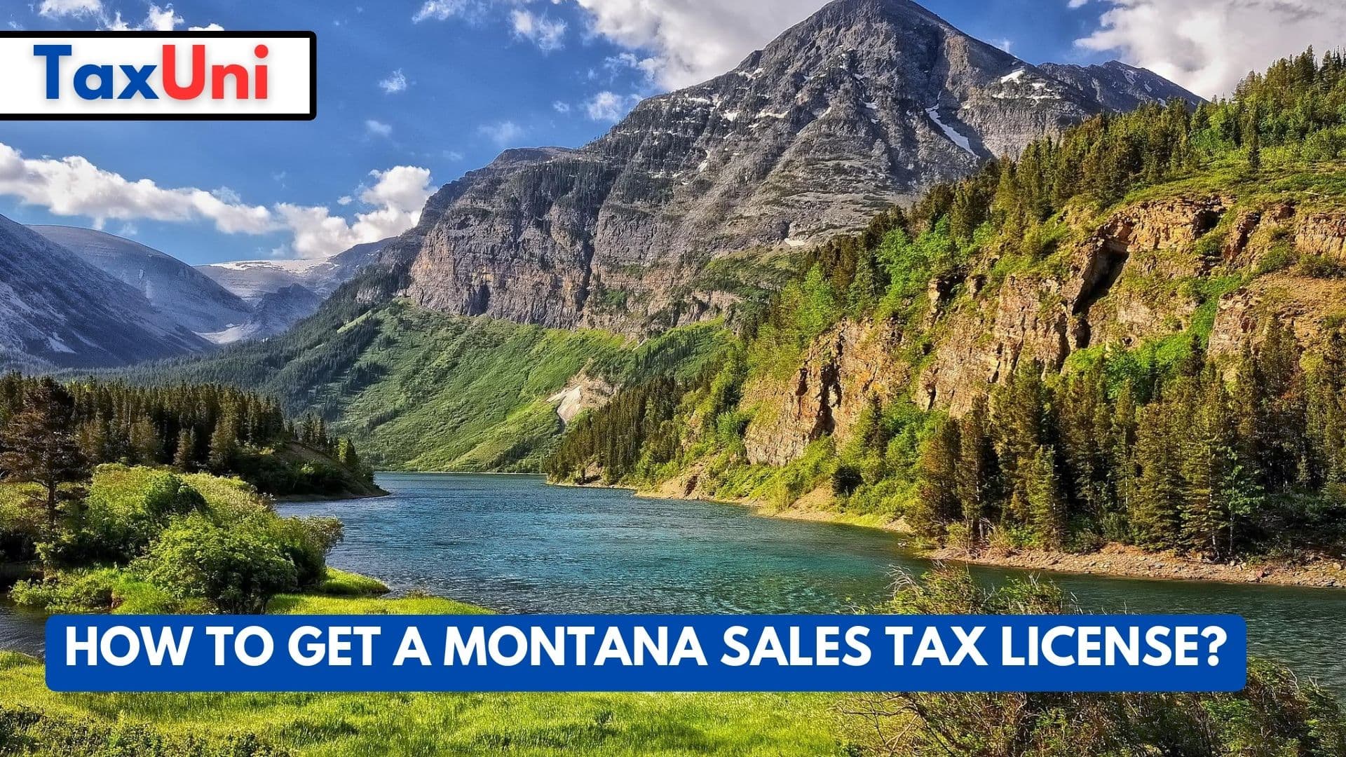 How to Get a Montana Sales Tax License? How to Get a Montana Sales Tax License