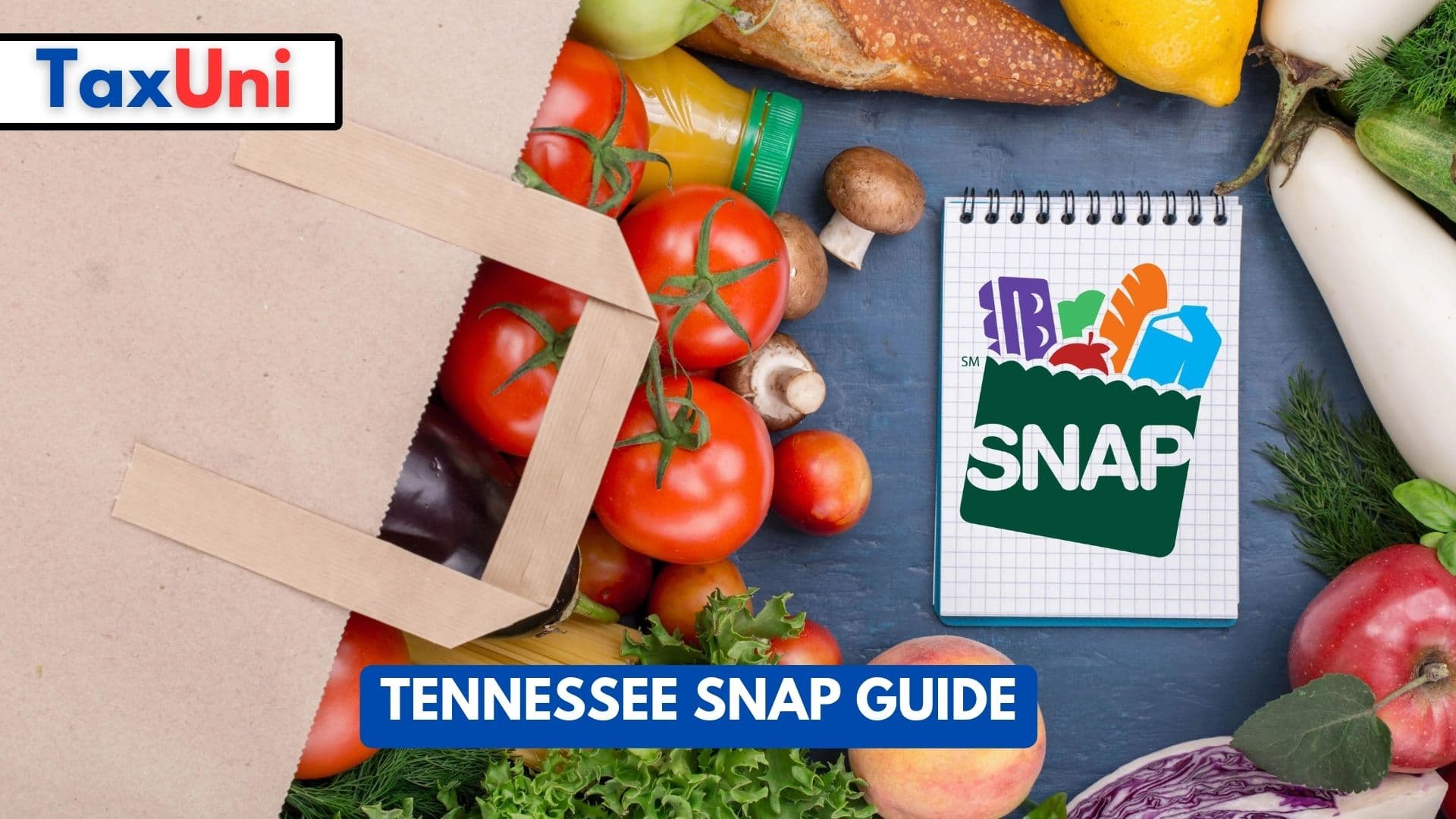 Tennessee SNAP Guide